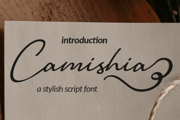 Camishia: Redefining Typography for the Modern Creator