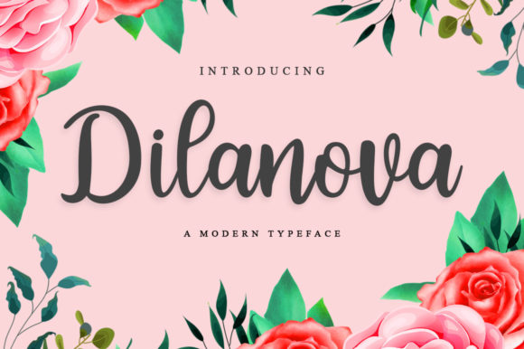 Discovering the Timeless Charm of Dilanova