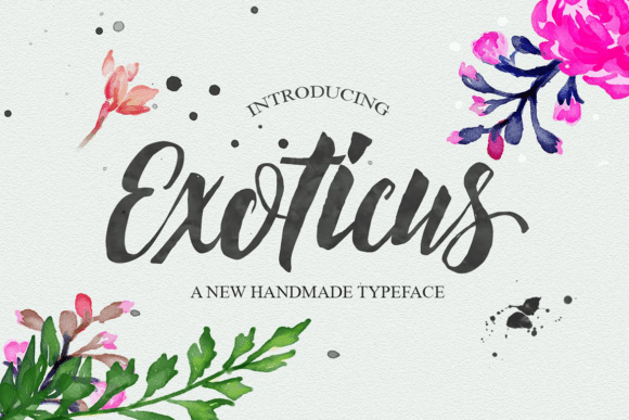 Exoticus: Elevating Brand Identity with Elegant Typography